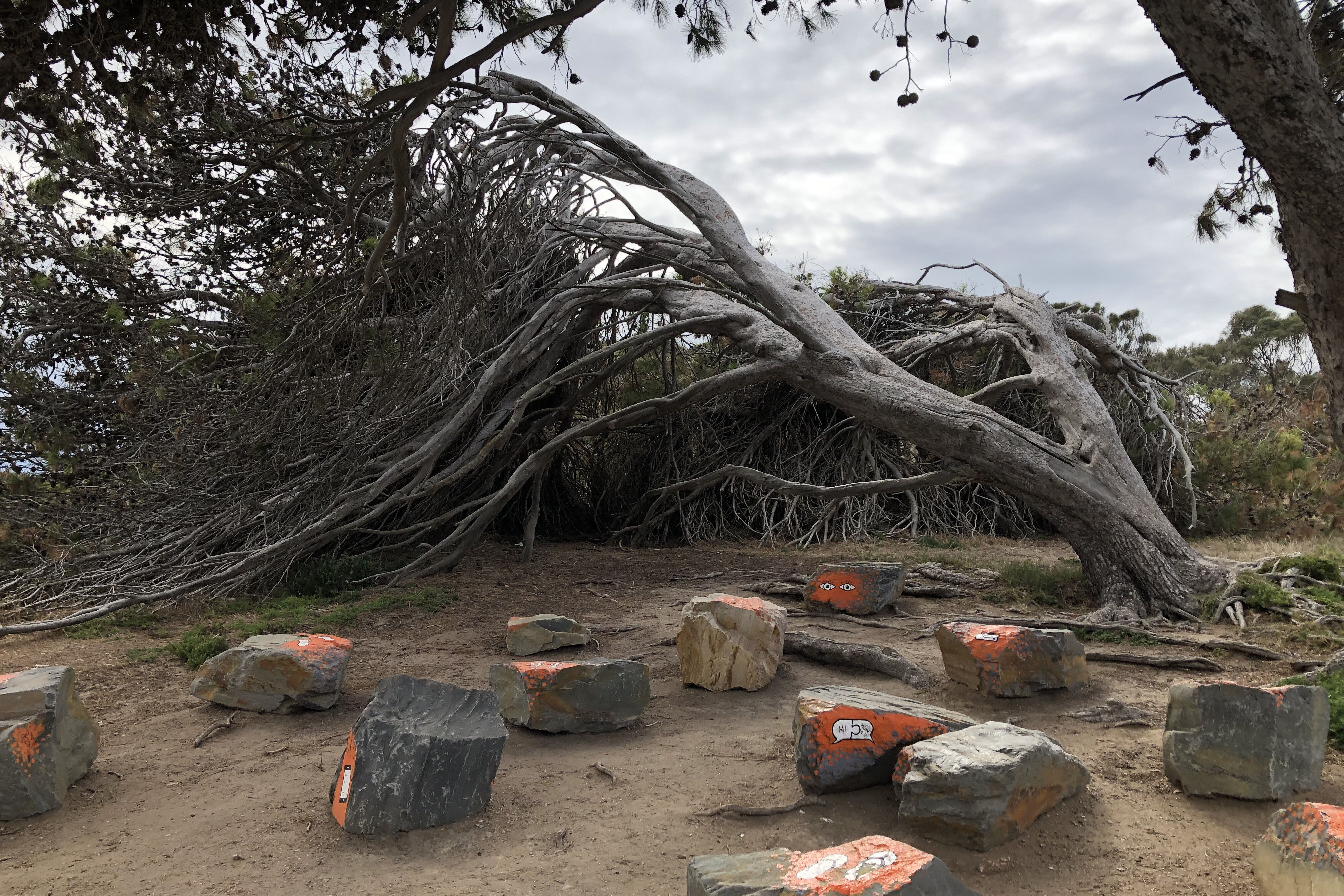 'Walking Looking Talking: Noppan Nukkan Yunnan' Granite Island, South Australia