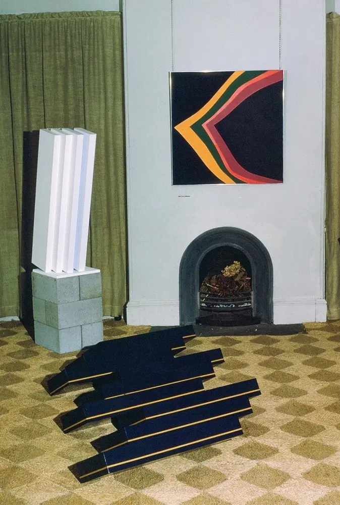 Contemporary Art Society exhibition with Nigel lendon
