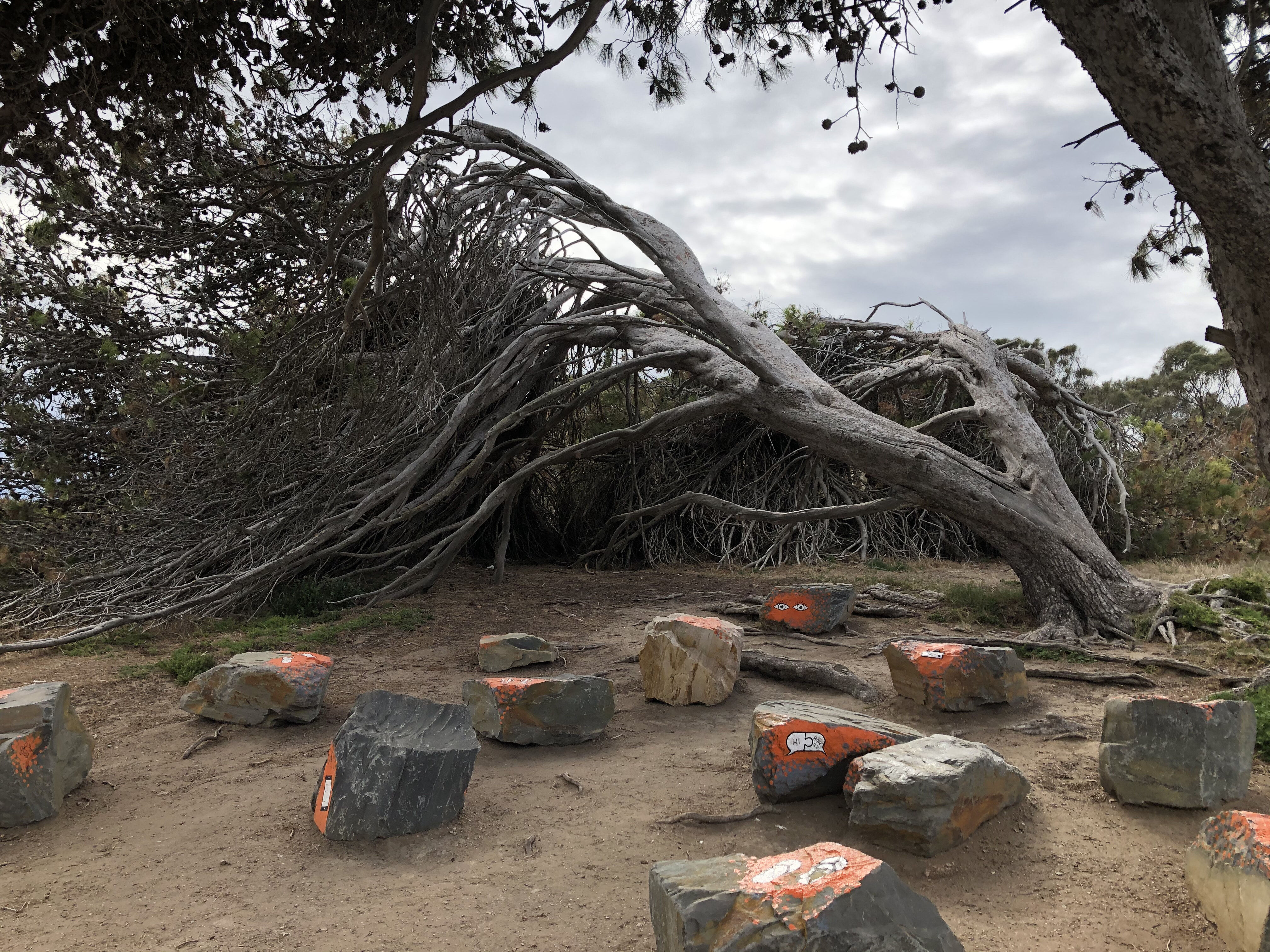 'Walking Looking Talking: Noppan Nukkan Yunnan' Granite Island, South Australia