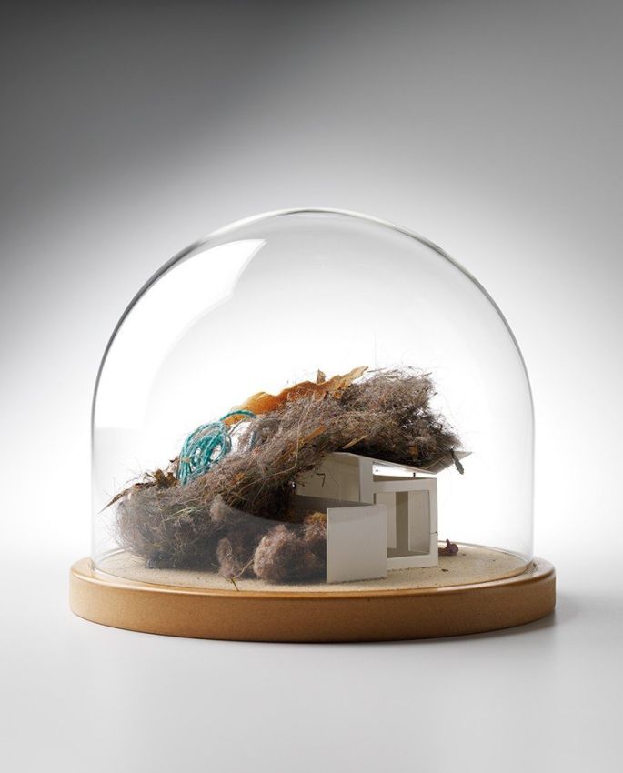 Secret Life of Domestic Dust: Anna's Archive