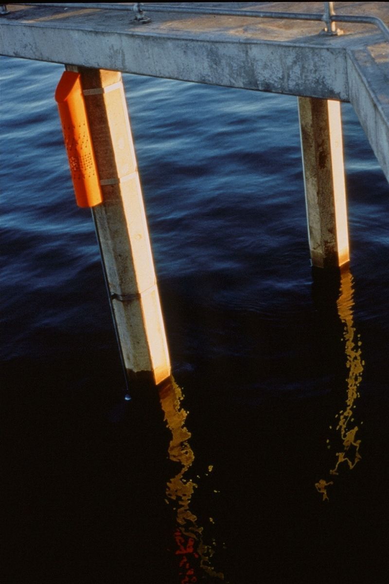 The Elements at Play: Hydraulis Organ Pipe