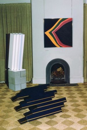 Contemporary Art Society exhibition with Nigel lendon